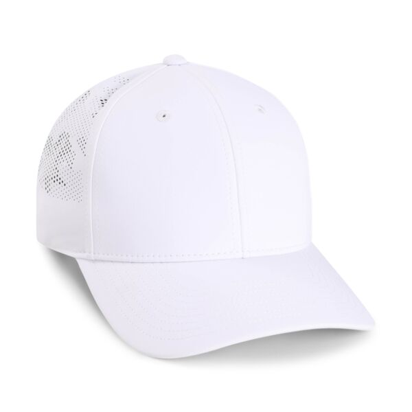 S1507 The Genome Thumbnail